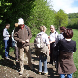 Image de sports activités sportives association